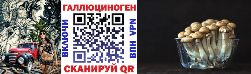 Купить закладки  Тотьма  Псилоцибиновые грибы прущие грибы 